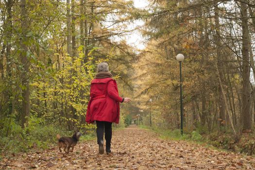 Middle aged woman in the autumn forest with her dog