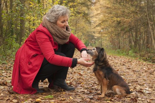 Middle aged woman in the autumn forest with her dog