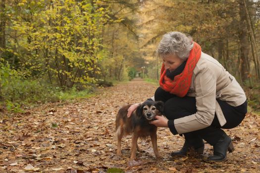 Middle aged woman in the autumn forest with her dog