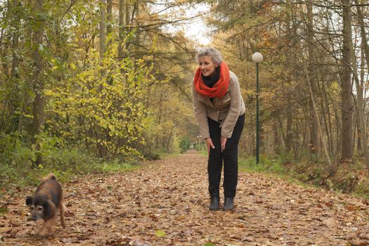 Middle aged woman in the autumn forest with her dog