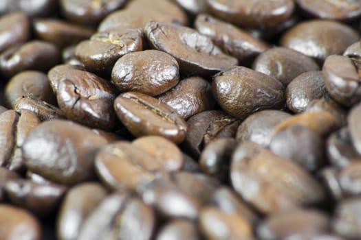 Details of coffee beans.