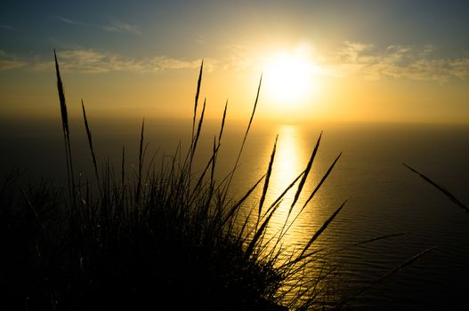 Esparto reeds against the background of a beautiful Mediterranean sunrise