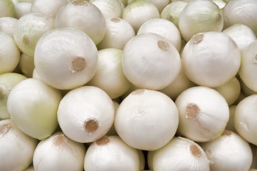 Approach to group of onions showing his details, textures and colors