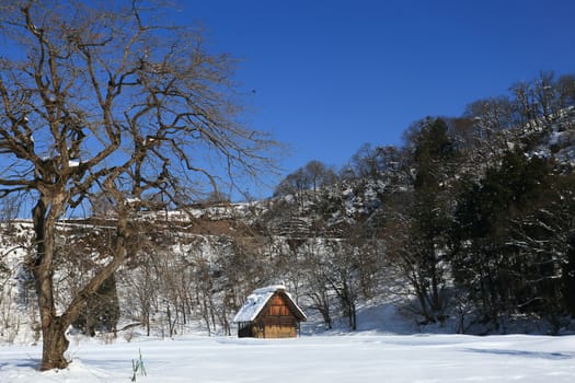 World Heritage, Historic Village of Shirakawago, Gifu, Japan