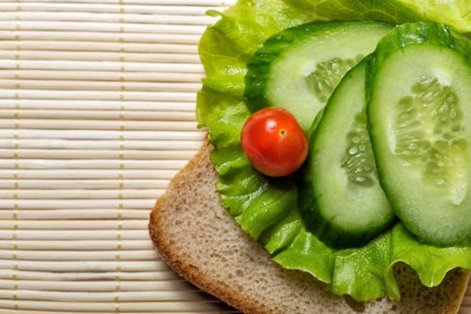 Appetizing bread with lettuce, tomatoes and cucumber shot closeup