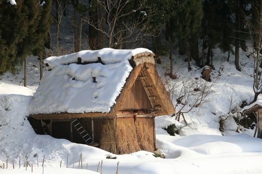 Cottage at Gassho-zukuri Village/Shirakawago