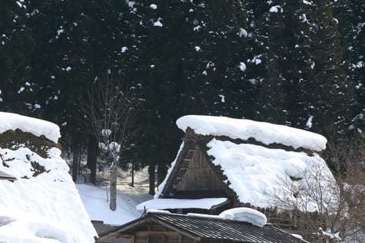 Cottage at Gassho-zukuri Village/Shirakawago:japan