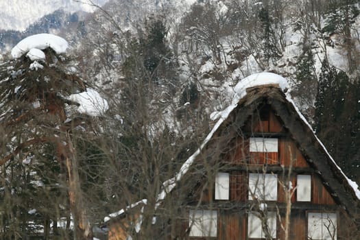 Cottage at Gassho-zukuri Village/Shirakawago:japan