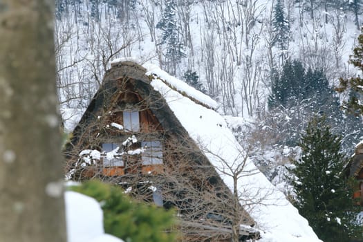 Cottage at Gassho-zukuri Village/Shirakawago:japan