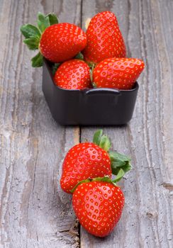 Arrangement of Perfect Raw Strawberries in Square Shape Black Bowl isolated on Rustic Wooden background