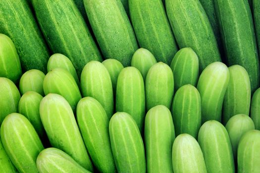 Fresh green cucumber collection outdoor on market