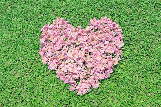 Pink flowers heart over green grass