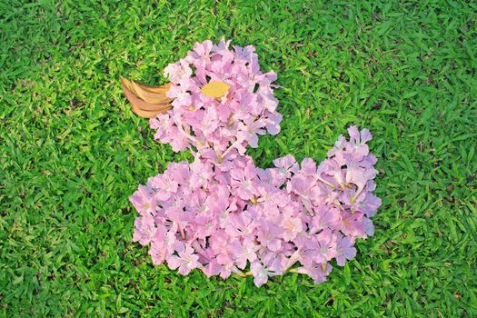 Flower arrangements in the shape of Duck