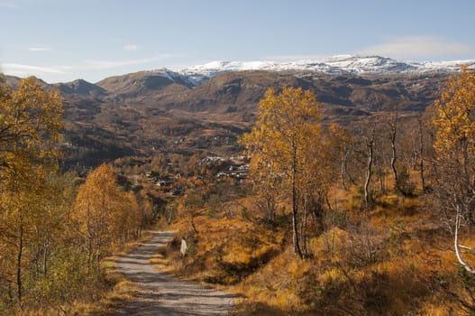 A winding road downhill in autumn