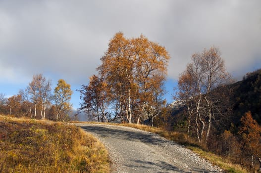 A road to the top in autumn