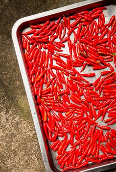 Red hot chili peppers drying in the sun in Vietnam