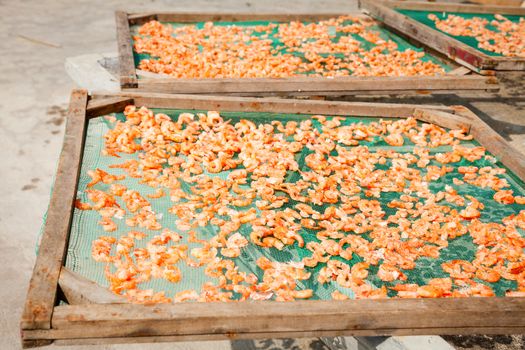 Prawns sun drying in Vietnam