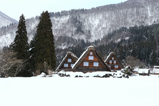 World Heritage, Historic Village of Shirakawago, Gifu, Japan