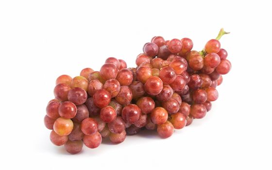 Red grapes fresh with water drops on white background