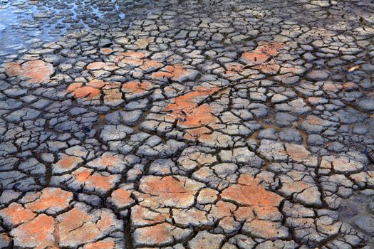 Environment and Drought.  Rain falls on cracked dry clay earth