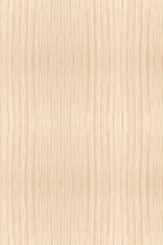 Texture of wood background closeup