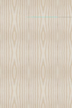 Texture of wood background closeup
