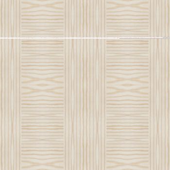 Texture of wood background closeup