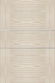 Texture of wood background closeup