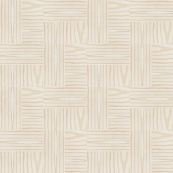Texture of wood background closeup