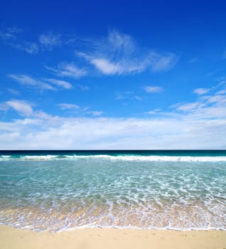 beautiful beach and tropical sea