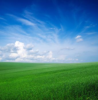 green field and blue sky

