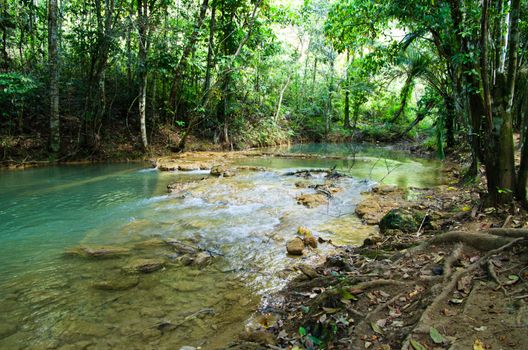 Stream in the tropical forest