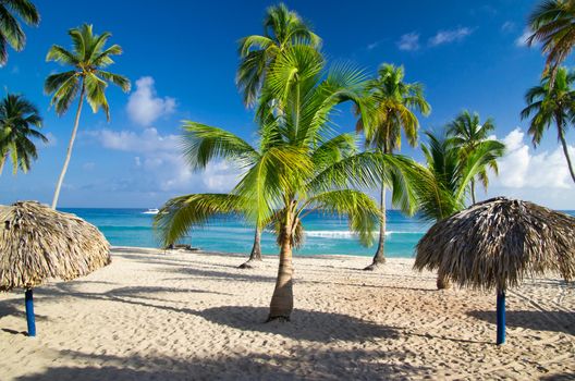 beautiful beach and tropical sea