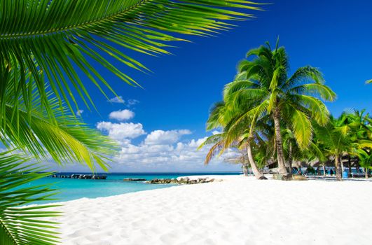 sea beach blue sky sand sun daylight relaxation landscape