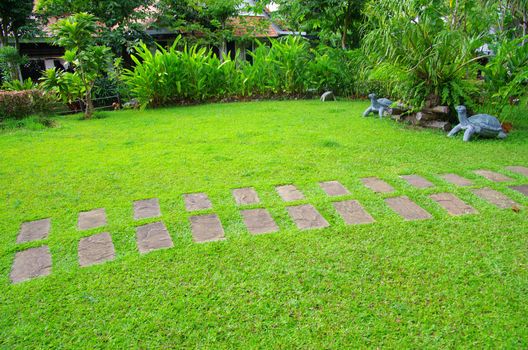 Garden stone path with grass