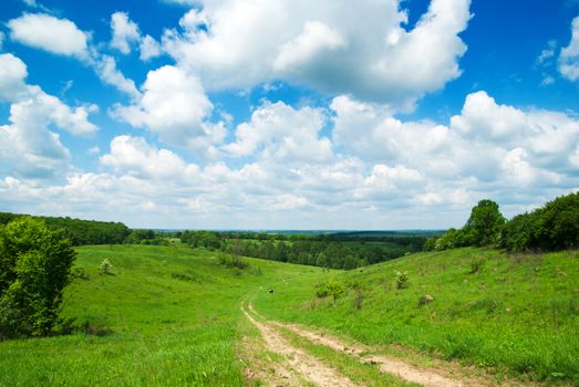 field on a background of the blue sky