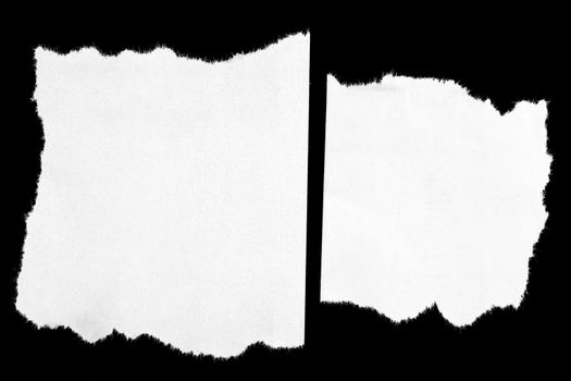 Pieces of torn paper on black. Copy space