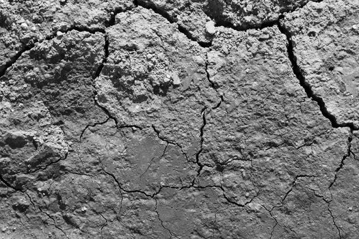 Lines in cracked earth 