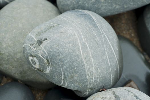 Stripped pebbles at a beach of Devon