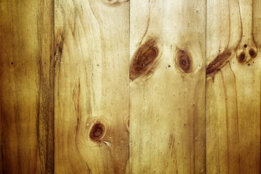 Closeup of wood texture 