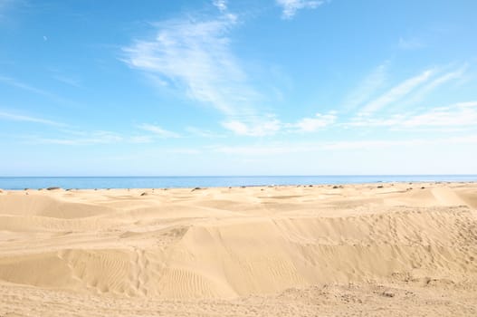 African European Sand Dune Desert Landscape in Gran Canaria Island Spain