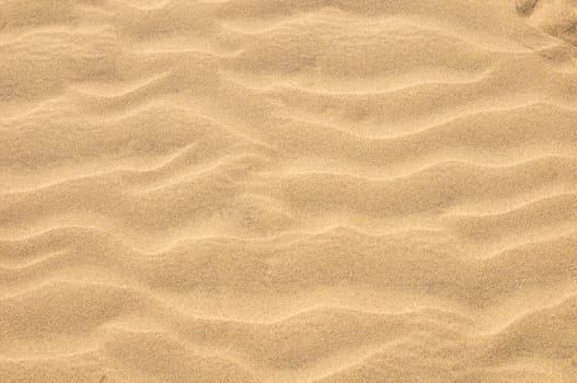 Texture Sand Dune Desert in Gran Canaria Island Spain