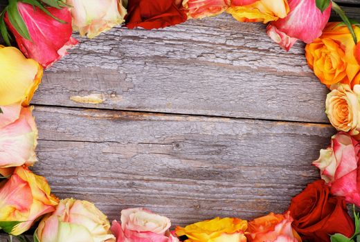 Ellipse Frame of Mixed Colorful Roses closeup on Rustic Wooden background