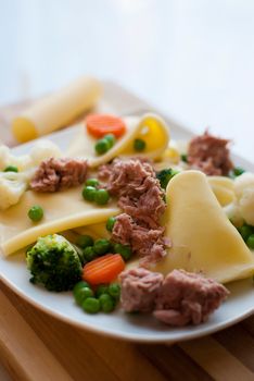 pasta Cannelloni with fresh vegetables and tuna