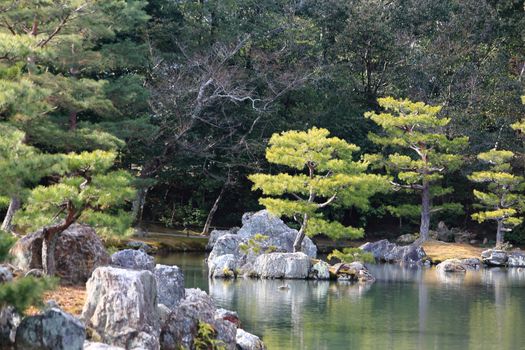 Kyoto, Japan - Japanese garden at famous Kinkakuji (Kinkaku-ji)