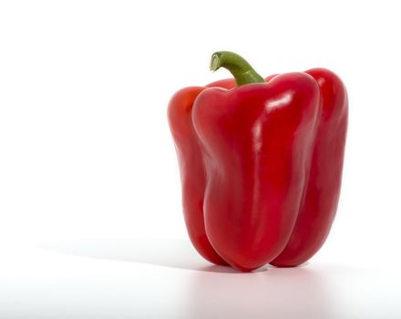 red pepper paprika on white background 