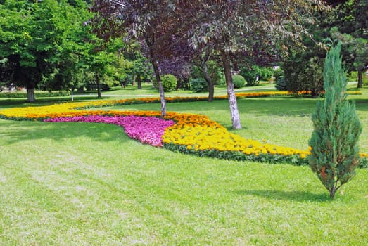 Garden details: flower arrangement and trees.