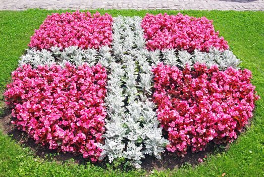 Floral arrangement in Brasov town square