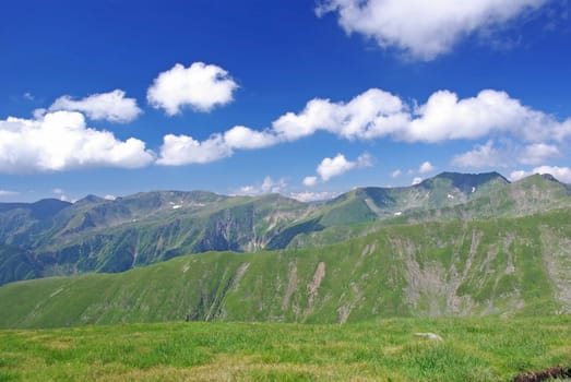 Alpine meadow in Fagaras mountains, Romania.
