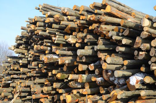 Background of firewood stacked in the woodpile